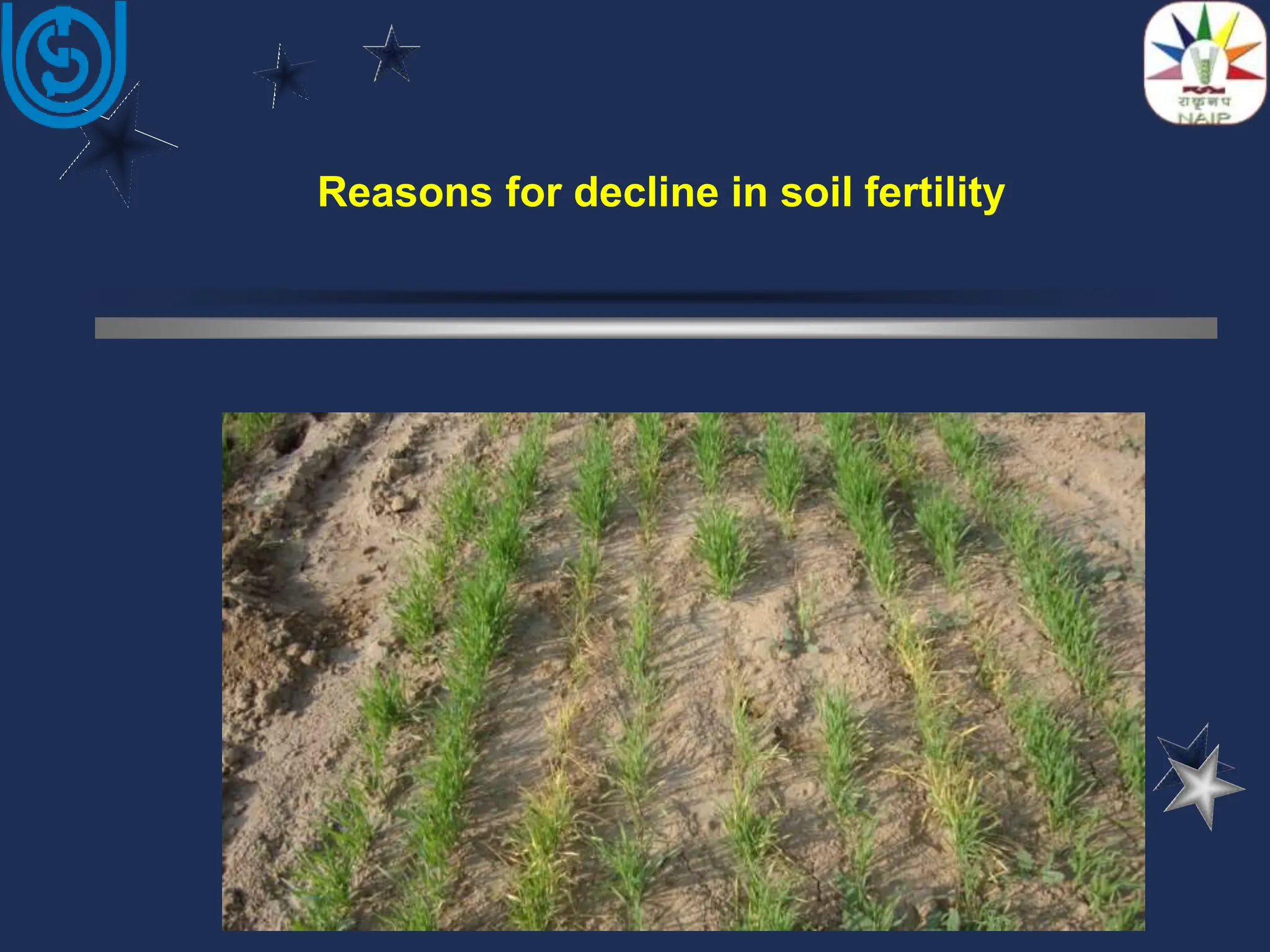 Soil fertility and it's meaning and defenition PPT