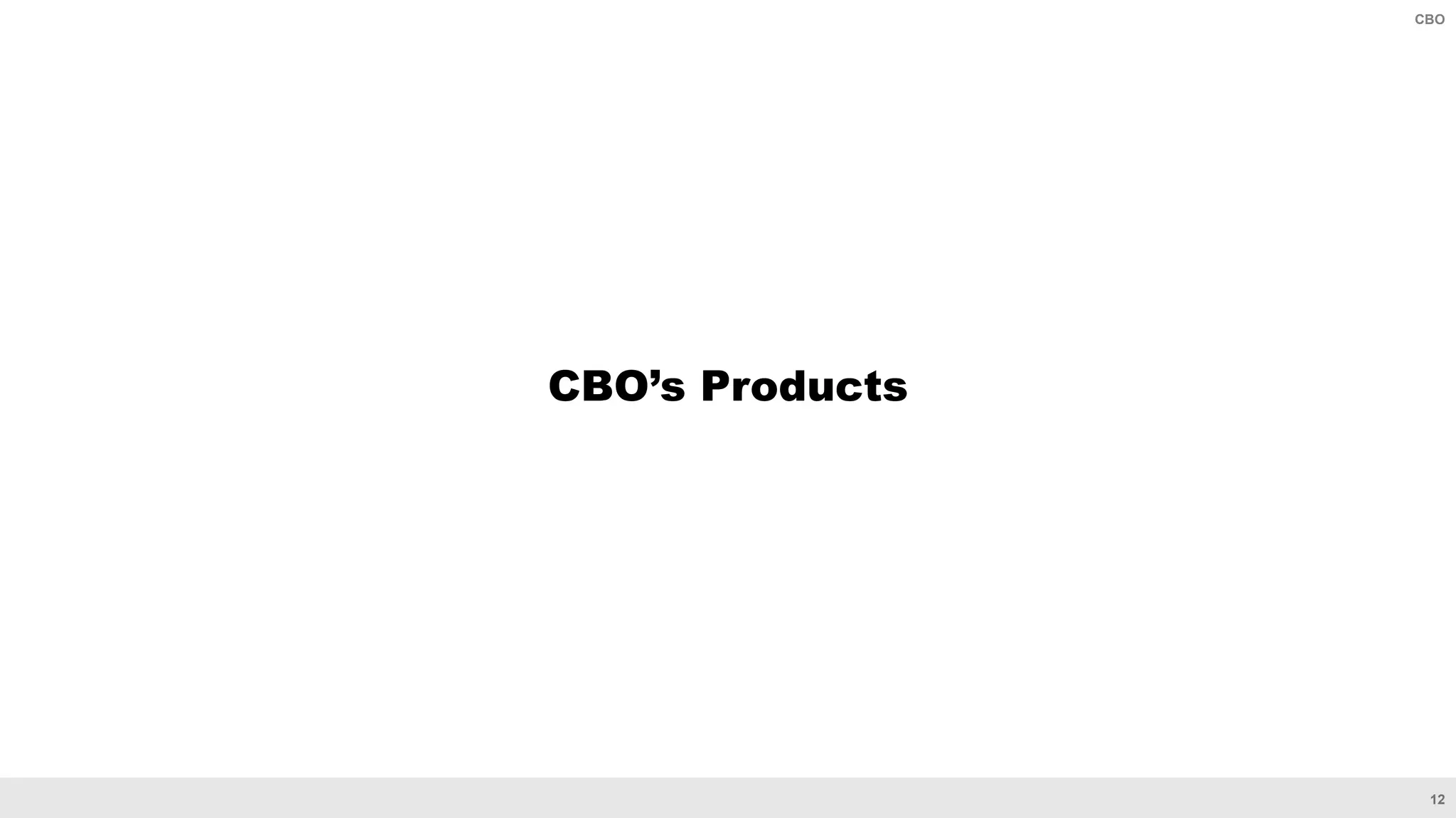 12
CBO
CBO’s Products
 