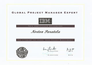 IBM - International PM