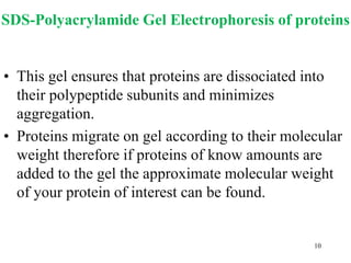 SDS-Polyacrylamide Gel Electrophoresis of proteins
• This gel ensures that proteins are dissociated into
their polypeptide subunits and minimizes
aggregation.
• Proteins migrate on gel according to their molecular
weight therefore if proteins of know amounts are
added to the gel the approximate molecular weight
of your protein of interest can be found.
10
 
