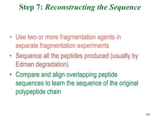 Step 7: Reconstructing the Sequence
• Use two or more fragmentation agents in
separate fragmentation experiments
• Sequence all the peptides produced (usually by
Edman degradation)
• Compare and align overlapping peptide
sequences to learn the sequence of the original
polypeptide chain
101
 