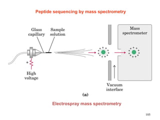Peptide sequencing by mass spectrometry
Electrospray mass spectrometry
105
 