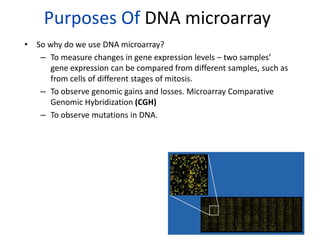Purposes Of DNA microarray
• So why do we use DNA microarray?
– To measure changes in gene expression levels – two samples’
gene expression can be compared from different samples, such as
from cells of different stages of mitosis.
– To observe genomic gains and losses. Microarray Comparative
Genomic Hybridization (CGH)
– To observe mutations in DNA.
111
 