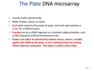 The Plate DNA microarray
• Usually made commercially.
• Made of glass, silicon, or nylon.
• Each plate contains thousands of spots, and each spot contains a
probe for a different gene.
• A probe can be a cDNA fragment or a synthetic oligonucleotide, such
as BAC (bacterial artificial chromosome set).
• Probes can either be attached by robotic means, where a needle
applies the cDNA to the plate, or by a method similar to making
silicon chips for computers. The latter is called a Gene Chip.
112
 