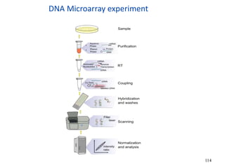 DNA Microarray experiment
114
 