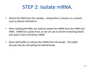STEP 2: Isolate mRNA.
• Extract the RNA from the samples. Using either a column, or a solvent
such as phenol-chloroform.
• After isolating the RNA, we need to isolate the mRNA from the rRNA and
tRNA. mRNA has a poly-A tail, so we can use a column containing beads
with poly-T tails to bind the mRNA.
• Rinse with buffer to release the mRNA from the beads. The buffer
disrupts the pH, disrupting the hybrid bonds.
117
 
