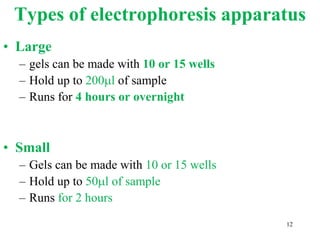 Types of electrophoresis apparatus
• Large
– gels can be made with 10 or 15 wells
– Hold up to 200ml of sample
– Runs for 4 hours or overnight
• Small
– Gels can be made with 10 or 15 wells
– Hold up to 50ml of sample
– Runs for 2 hours
12
 