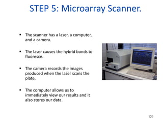 STEP 5: Microarray Scanner.
 The scanner has a laser, a computer,
and a camera.
 The laser causes the hybrid bonds to
fluoresce.
 The camera records the images
produced when the laser scans the
plate.
 The computer allows us to
immediately view our results and it
also stores our data.
120
 