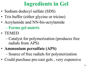 Ingredients in Gel
• Sodium dodecyl sulfate (SDS)
• Tris buffer (either glycine or tricine)
• Acrylamide and NN-bis-acrylamide
– Forms gel matrix
• TEMED
– Catalyst for polymerization (produces free
radials from APS)
• Ammonium persulfate (APS)
– Source of free radials for polymerization
• Could purchase pre-cast gels , very expensive
13
 
