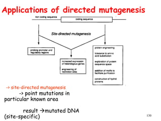 130
Applications of directed mutagenesis
-> site-directed mutagenesis
-> point mutations in
particular known area
result mutated DNA
(site-specific)
 