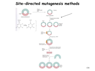 Site-directed mutagenesis methods
134
 