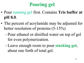 Pouring gel
• Pour running gel first. Contains Tris buffer at
pH 8.0.
• The percent of acrylamide may be adjusted for
better resolution of proteins (5-15%)
–Pour ethanol or distilled water on top of gel
for even polymerization.
–Leave enough room to pour stacking gel,
about one forth of total gel.
14
 