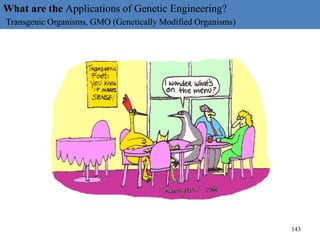 What are the Applications of Genetic Engineering?
Transgenic Organisms, GMO (Genetically Modified Organisms)
143
 