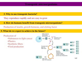 They reproduce rapidly and are easy to grow
3. Why to use transgenic bacteria?
Production of insulin, growth hormone, and clotting factor
4. How do humans benefit from transgenic microorganisms?
Transgenic microorganisms
Production of
•Substances to fight cancer
•Plastics
•Synthetic fibers
•Food production
5. What do we expect to achieve in the future?
145
 