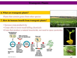 7. How do humans benefit from transgenic plants?
• Increase crop productivity
• Corps able to resist weed-killing chemicals
•Crops that produce a natural insecticide, not need to spray pesticides
6. What are transgenic plants?
Plants that contain genes from other species
147
Transgenic Plants
Transgenic Corn
 