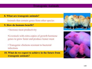 8. What are transgenic animals?
Animals that contain genes from other species
9. How do humans benefit?
• Increase meat productivity
•Livestock with extra copies of growth hormone
genes to grow faster and produce leaner meat
• Transgenic chickens resistant to bacterial
infections
149
Transgenic Animals
10. What do we expect to achieve in the future from
transgenic animals?
 