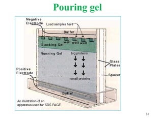 Pouring gel
16
 