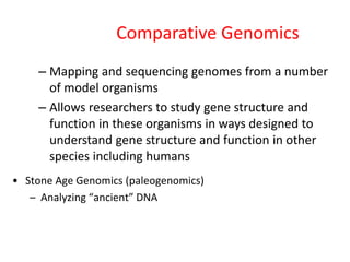 Comparative Genomics
– Mapping and sequencing genomes from a number
of model organisms
– Allows researchers to study gene structure and
function in these organisms in ways designed to
understand gene structure and function in other
species including humans
• Stone Age Genomics (paleogenomics)
– Analyzing “ancient” DNA
 