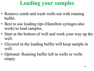 Loading your samples
• Remove comb and wash wells out with running
buffer.
• Best to use loading tips (Hamilton syringes also
work) to load samples.
• Start at the bottom of well and work your way up the
well.
• Glycerol in the loading buffer will keep sample in
well.
• Optional- Running buffer left in wells or wells
empty.
18
 