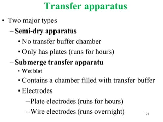 Transfer apparatus
• Two major types
– Semi-dry apparatus
• No transfer buffer chamber
• Only has plates (runs for hours)
– Submerge transfer apparatu
• Wet blot
• Contains a chamber filled with transfer buffer
• Electrodes
–Plate electrodes (runs for hours)
–Wire electrodes (runs overnight) 21
 