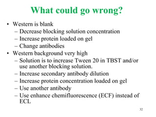 What could go wrong?
• Western is blank
– Decrease blocking solution concentration
– Increase protein loaded on gel
– Change antibodies
• Western background very high
– Solution is to increase Tween 20 in TBST and/or
use another blocking solution.
– Increase secondary antibody dilution
– Increase protein concentration loaded on gel
– Use another antibody
– Use enhance chemifluorescence (ECF) instead of
ECL
32
 