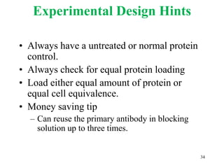 Experimental Design Hints
• Always have a untreated or normal protein
control.
• Always check for equal protein loading
• Load either equal amount of protein or
equal cell equivalence.
• Money saving tip
– Can reuse the primary antibody in blocking
solution up to three times.
34
 