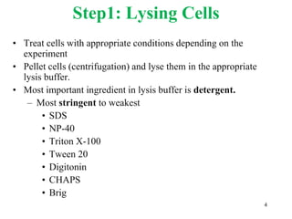 Step1: Lysing Cells
• Treat cells with appropriate conditions depending on the
experiment
• Pellet cells (centrifugation) and lyse them in the appropriate
lysis buffer.
• Most important ingredient in lysis buffer is detergent.
– Most stringent to weakest
• SDS
• NP-40
• Triton X-100
• Tween 20
• Digitonin
• CHAPS
• Brig
4
 