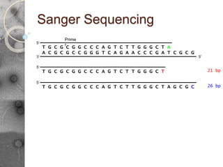 Sanger Sequencing
A C G C G C C G G G T C A G A A C C C G A T C G C G
5’
3’
G T C T T G G G C T A G C G C
5’
T G C G C G G C C C A
G T C T T G G G C T
5’
T G C G C G G C C C A 21 bp
26 bp
5’
T G C G C G G C C C A
Prime
r
G T C T T G G G C T A
 
