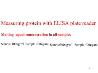 Measuring protein with ELISA plate reader
8
Making equal concentration in all samples
Sample 100ug/ml Sample 200ug/ml Sample300ug/ml Sample 400ug/ml
 