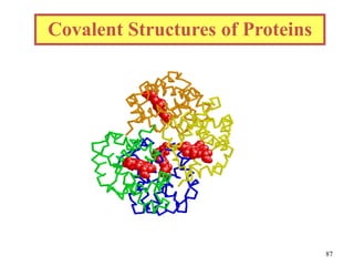 Covalent Structures of Proteins
87
 