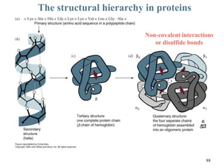 The structural hierarchy in proteins
Non-covalent interactions
or disulfide bonds
88
 