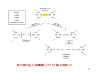 Breaking disulfide bonds in proteins
92
 