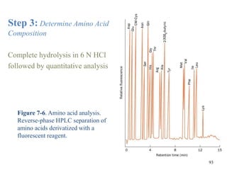 Step 3: Determine Amino Acid
Composition
Complete hydrolysis in 6 N HCl
followed by quantitative analysis
Figure 7-6. Amino acid analysis.
Reverse-phase HPLC separation of
amino acids derivatized with a
fluorescent reagent.
93
 