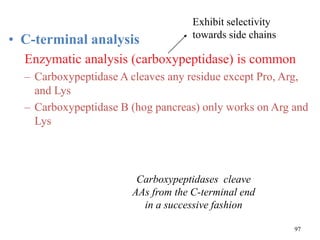 • C-terminal analysis
Enzymatic analysis (carboxypeptidase) is common
– Carboxypeptidase A cleaves any residue except Pro, Arg,
and Lys
– Carboxypeptidase B (hog pancreas) only works on Arg and
Lys
Carboxypeptidases cleave
AAs from the C-terminal end
in a successive fashion
Exhibit selectivity
towards side chains
97
 