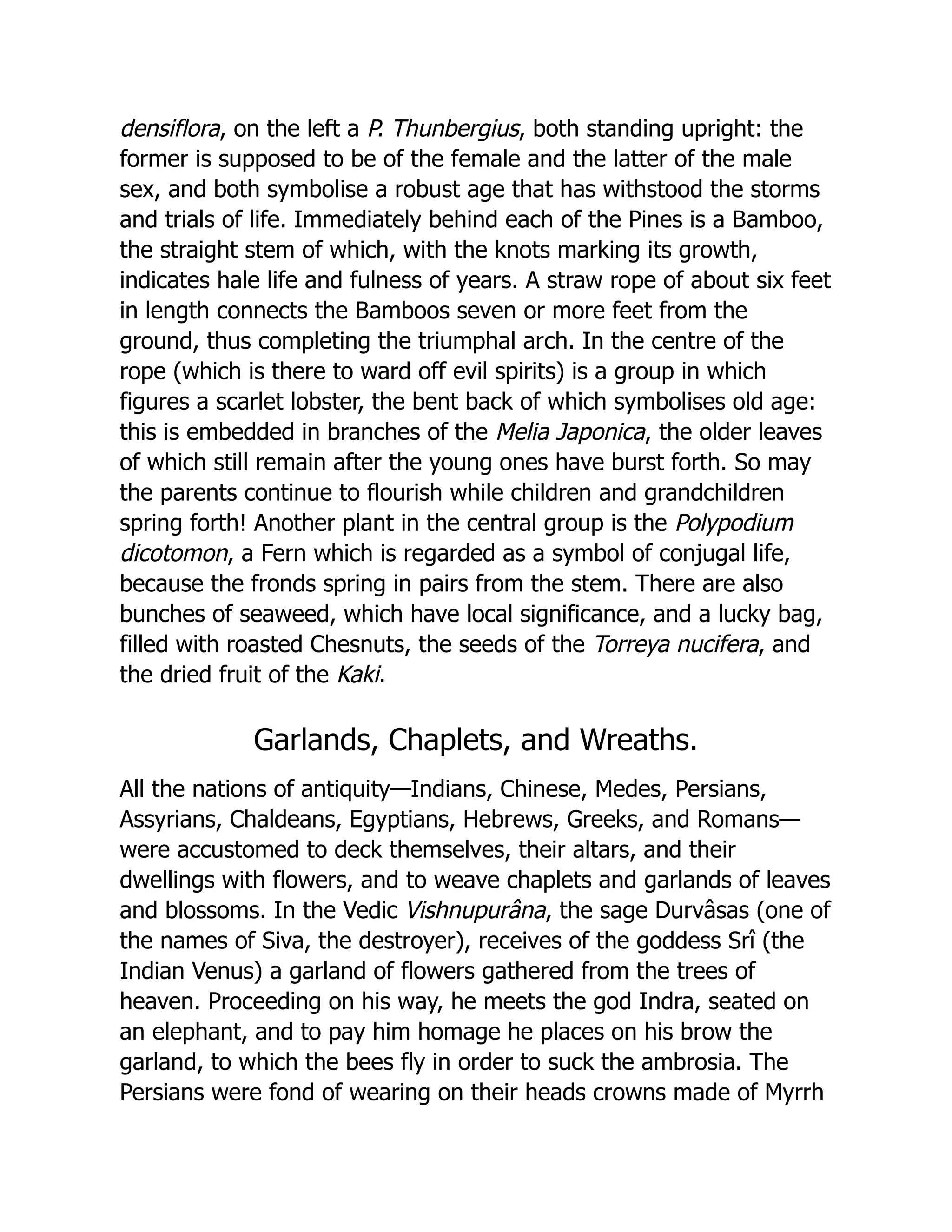 densiflora, on the left a P. Thunbergius, both standing upright: the
former is supposed to be of the female and the latter of the male
sex, and both symbolise a robust age that has withstood the storms
and trials of life. Immediately behind each of the Pines is a Bamboo,
the straight stem of which, with the knots marking its growth,
indicates hale life and fulness of years. A straw rope of about six feet
in length connects the Bamboos seven or more feet from the
ground, thus completing the triumphal arch. In the centre of the
rope (which is there to ward off evil spirits) is a group in which
figures a scarlet lobster, the bent back of which symbolises old age:
this is embedded in branches of the Melia Japonica, the older leaves
of which still remain after the young ones have burst forth. So may
the parents continue to flourish while children and grandchildren
spring forth! Another plant in the central group is the Polypodium
dicotomon, a Fern which is regarded as a symbol of conjugal life,
because the fronds spring in pairs from the stem. There are also
bunches of seaweed, which have local significance, and a lucky bag,
filled with roasted Chesnuts, the seeds of the Torreya nucifera, and
the dried fruit of the Kaki.
Garlands, Chaplets, and Wreaths.
All the nations of antiquity—Indians, Chinese, Medes, Persians,
Assyrians, Chaldeans, Egyptians, Hebrews, Greeks, and Romans—
were accustomed to deck themselves, their altars, and their
dwellings with flowers, and to weave chaplets and garlands of leaves
and blossoms. In the Vedic Vishnupurâna, the sage Durvâsas (one of
the names of Siva, the destroyer), receives of the goddess Srî (the
Indian Venus) a garland of flowers gathered from the trees of
heaven. Proceeding on his way, he meets the god Indra, seated on
an elephant, and to pay him homage he places on his brow the
garland, to which the bees fly in order to suck the ambrosia. The
Persians were fond of wearing on their heads crowns made of Myrrh
 