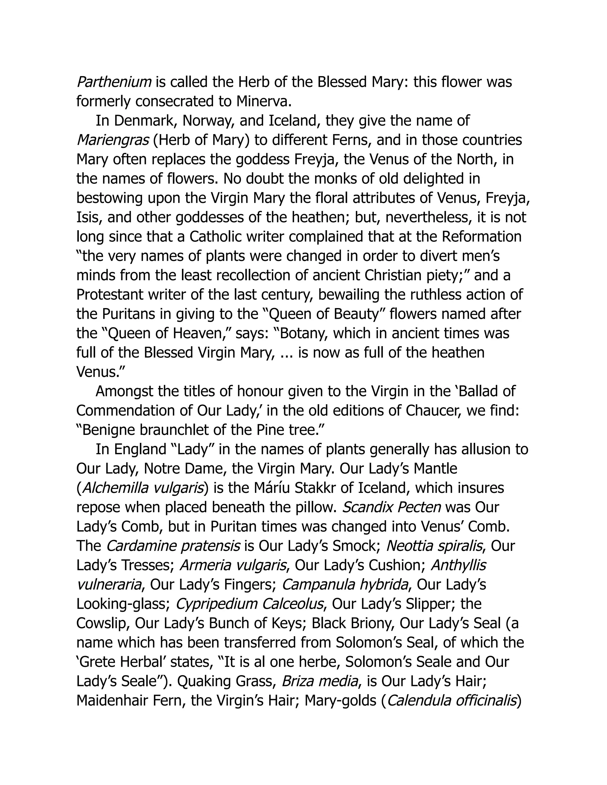 Parthenium is called the Herb of the Blessed Mary: this flower was
formerly consecrated to Minerva.
In Denmark, Norway, and Iceland, they give the name of
Mariengras (Herb of Mary) to different Ferns, and in those countries
Mary often replaces the goddess Freyja, the Venus of the North, in
the names of flowers. No doubt the monks of old delighted in
bestowing upon the Virgin Mary the floral attributes of Venus, Freyja,
Isis, and other goddesses of the heathen; but, nevertheless, it is not
long since that a Catholic writer complained that at the Reformation
“the very names of plants were changed in order to divert men’s
minds from the least recollection of ancient Christian piety;” and a
Protestant writer of the last century, bewailing the ruthless action of
the Puritans in giving to the “Queen of Beauty” flowers named after
the “Queen of Heaven,” says: “Botany, which in ancient times was
full of the Blessed Virgin Mary, ... is now as full of the heathen
Venus.”
Amongst the titles of honour given to the Virgin in the ‘Ballad of
Commendation of Our Lady,’ in the old editions of Chaucer, we find:
“Benigne braunchlet of the Pine tree.”
In England “Lady” in the names of plants generally has allusion to
Our Lady, Notre Dame, the Virgin Mary. Our Lady’s Mantle
(Alchemilla vulgaris) is the Máríu Stakkr of Iceland, which insures
repose when placed beneath the pillow. Scandix Pecten was Our
Lady’s Comb, but in Puritan times was changed into Venus’ Comb.
The Cardamine pratensis is Our Lady’s Smock; Neottia spiralis, Our
Lady’s Tresses; Armeria vulgaris, Our Lady’s Cushion; Anthyllis
vulneraria, Our Lady’s Fingers; Campanula hybrida, Our Lady’s
Looking-glass; Cypripedium Calceolus, Our Lady’s Slipper; the
Cowslip, Our Lady’s Bunch of Keys; Black Briony, Our Lady’s Seal (a
name which has been transferred from Solomon’s Seal, of which the
‘Grete Herbal’ states, “It is al one herbe, Solomon’s Seale and Our
Lady’s Seale”). Quaking Grass, Briza media, is Our Lady’s Hair;
Maidenhair Fern, the Virgin’s Hair; Mary-golds (Calendula officinalis)
 
