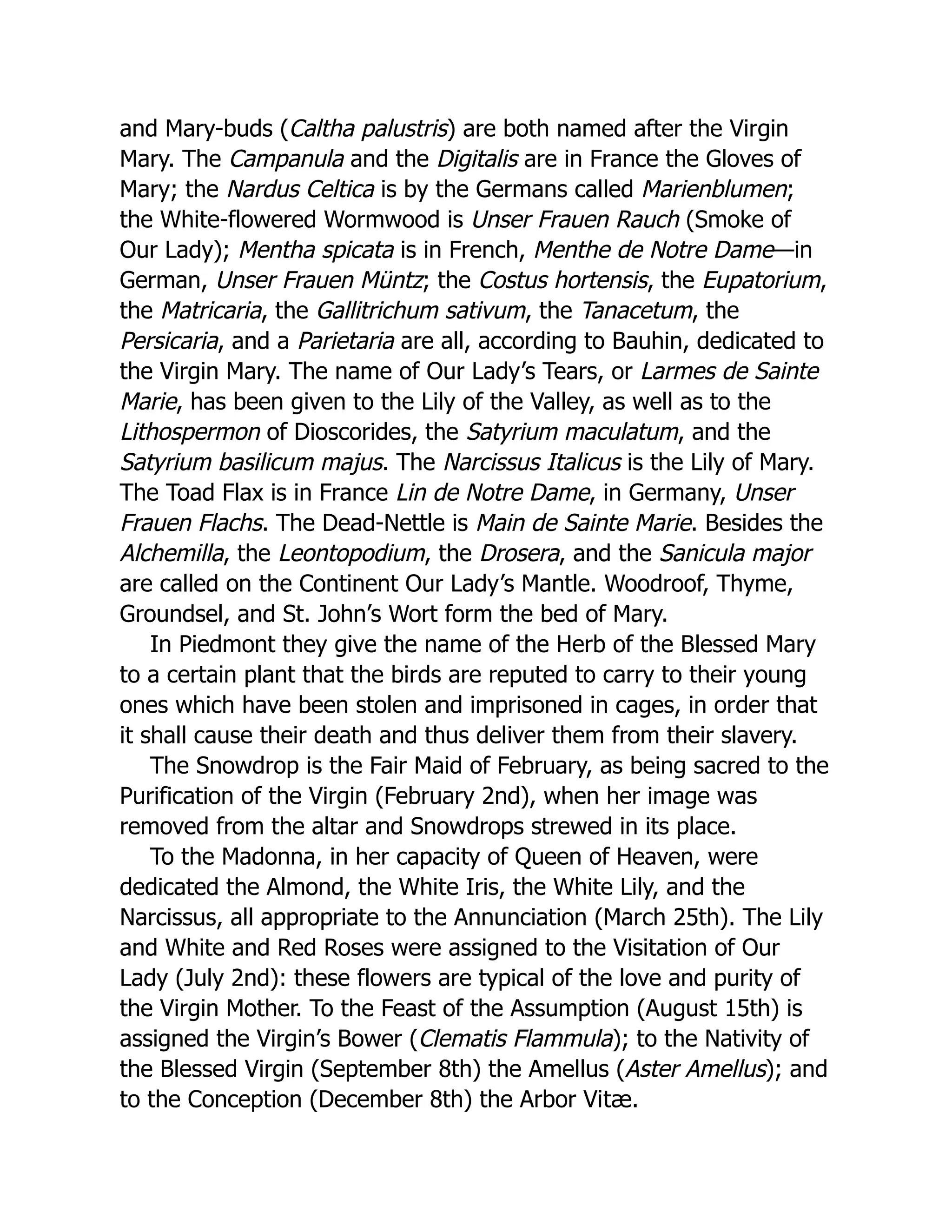 and Mary-buds (Caltha palustris) are both named after the Virgin
Mary. The Campanula and the Digitalis are in France the Gloves of
Mary; the Nardus Celtica is by the Germans called Marienblumen;
the White-flowered Wormwood is Unser Frauen Rauch (Smoke of
Our Lady); Mentha spicata is in French, Menthe de Notre Dame—in
German, Unser Frauen Müntz; the Costus hortensis, the Eupatorium,
the Matricaria, the Gallitrichum sativum, the Tanacetum, the
Persicaria, and a Parietaria are all, according to Bauhin, dedicated to
the Virgin Mary. The name of Our Lady’s Tears, or Larmes de Sainte
Marie, has been given to the Lily of the Valley, as well as to the
Lithospermon of Dioscorides, the Satyrium maculatum, and the
Satyrium basilicum majus. The Narcissus Italicus is the Lily of Mary.
The Toad Flax is in France Lin de Notre Dame, in Germany, Unser
Frauen Flachs. The Dead-Nettle is Main de Sainte Marie. Besides the
Alchemilla, the Leontopodium, the Drosera, and the Sanicula major
are called on the Continent Our Lady’s Mantle. Woodroof, Thyme,
Groundsel, and St. John’s Wort form the bed of Mary.
In Piedmont they give the name of the Herb of the Blessed Mary
to a certain plant that the birds are reputed to carry to their young
ones which have been stolen and imprisoned in cages, in order that
it shall cause their death and thus deliver them from their slavery.
The Snowdrop is the Fair Maid of February, as being sacred to the
Purification of the Virgin (February 2nd), when her image was
removed from the altar and Snowdrops strewed in its place.
To the Madonna, in her capacity of Queen of Heaven, were
dedicated the Almond, the White Iris, the White Lily, and the
Narcissus, all appropriate to the Annunciation (March 25th). The Lily
and White and Red Roses were assigned to the Visitation of Our
Lady (July 2nd): these flowers are typical of the love and purity of
the Virgin Mother. To the Feast of the Assumption (August 15th) is
assigned the Virgin’s Bower (Clematis Flammula); to the Nativity of
the Blessed Virgin (September 8th) the Amellus (Aster Amellus); and
to the Conception (December 8th) the Arbor Vitæ.
 