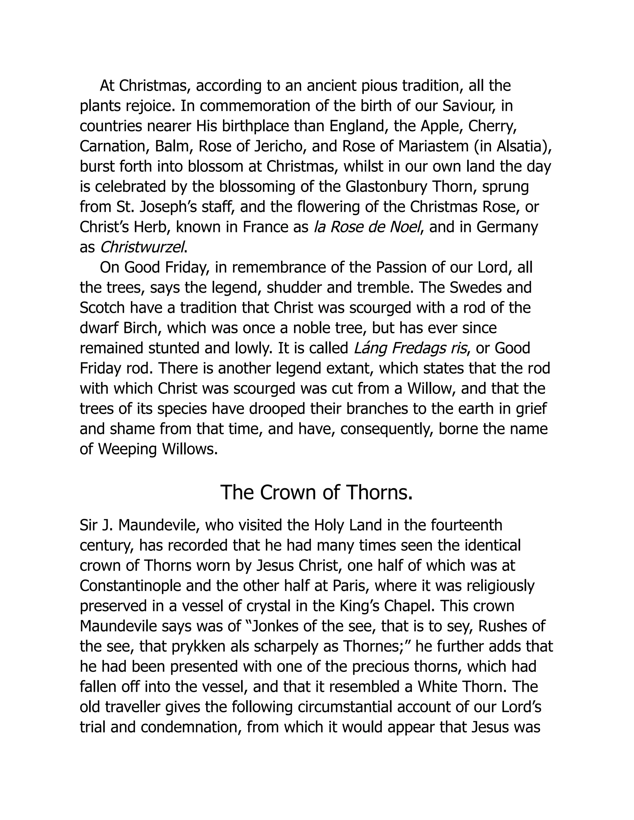 At Christmas, according to an ancient pious tradition, all the
plants rejoice. In commemoration of the birth of our Saviour, in
countries nearer His birthplace than England, the Apple, Cherry,
Carnation, Balm, Rose of Jericho, and Rose of Mariastem (in Alsatia),
burst forth into blossom at Christmas, whilst in our own land the day
is celebrated by the blossoming of the Glastonbury Thorn, sprung
from St. Joseph’s staff, and the flowering of the Christmas Rose, or
Christ’s Herb, known in France as la Rose de Noel, and in Germany
as Christwurzel.
On Good Friday, in remembrance of the Passion of our Lord, all
the trees, says the legend, shudder and tremble. The Swedes and
Scotch have a tradition that Christ was scourged with a rod of the
dwarf Birch, which was once a noble tree, but has ever since
remained stunted and lowly. It is called Láng Fredags ris, or Good
Friday rod. There is another legend extant, which states that the rod
with which Christ was scourged was cut from a Willow, and that the
trees of its species have drooped their branches to the earth in grief
and shame from that time, and have, consequently, borne the name
of Weeping Willows.
The Crown of Thorns.
Sir J. Maundevile, who visited the Holy Land in the fourteenth
century, has recorded that he had many times seen the identical
crown of Thorns worn by Jesus Christ, one half of which was at
Constantinople and the other half at Paris, where it was religiously
preserved in a vessel of crystal in the King’s Chapel. This crown
Maundevile says was of “Jonkes of the see, that is to sey, Rushes of
the see, that prykken als scharpely as Thornes;” he further adds that
he had been presented with one of the precious thorns, which had
fallen off into the vessel, and that it resembled a White Thorn. The
old traveller gives the following circumstantial account of our Lord’s
trial and condemnation, from which it would appear that Jesus was
 