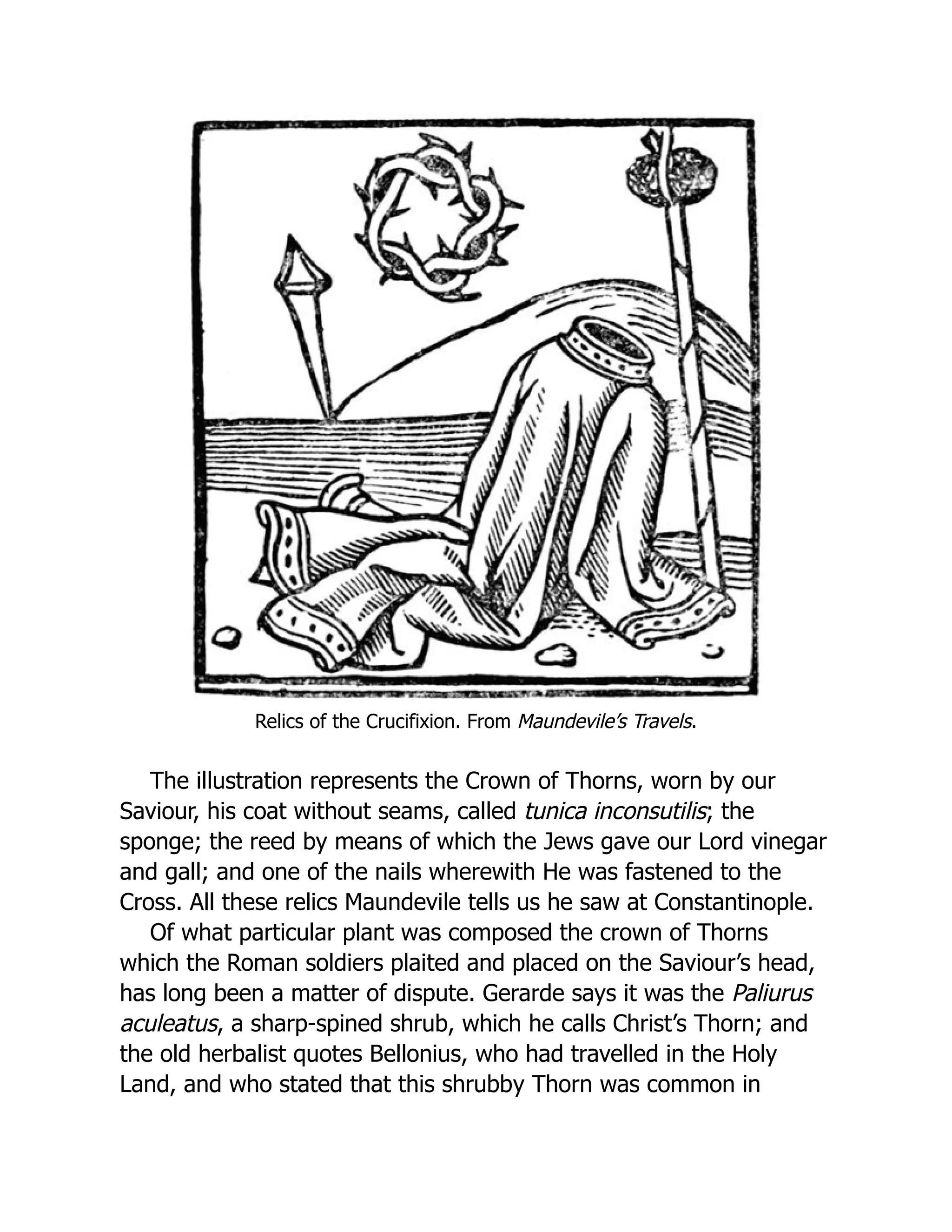 Relics of the Crucifixion. From Maundevile’s Travels.
The illustration represents the Crown of Thorns, worn by our
Saviour, his coat without seams, called tunica inconsutilis; the
sponge; the reed by means of which the Jews gave our Lord vinegar
and gall; and one of the nails wherewith He was fastened to the
Cross. All these relics Maundevile tells us he saw at Constantinople.
Of what particular plant was composed the crown of Thorns
which the Roman soldiers plaited and placed on the Saviour’s head,
has long been a matter of dispute. Gerarde says it was the Paliurus
aculeatus, a sharp-spined shrub, which he calls Christ’s Thorn; and
the old herbalist quotes Bellonius, who had travelled in the Holy
Land, and who stated that this shrubby Thorn was common in
 