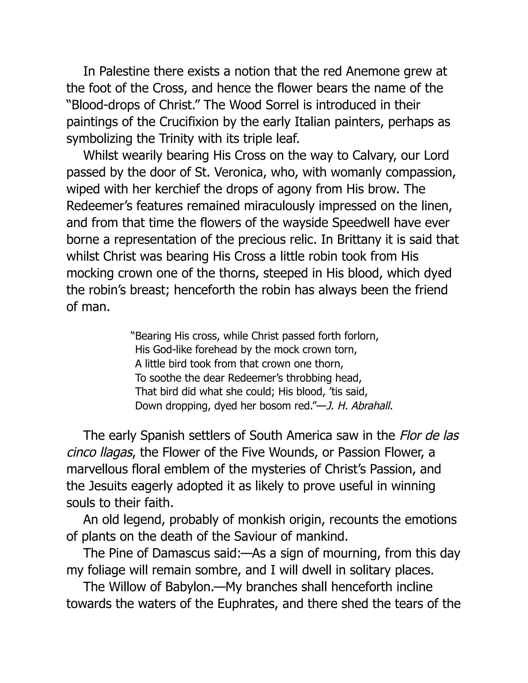 In Palestine there exists a notion that the red Anemone grew at
the foot of the Cross, and hence the flower bears the name of the
“Blood-drops of Christ.” The Wood Sorrel is introduced in their
paintings of the Crucifixion by the early Italian painters, perhaps as
symbolizing the Trinity with its triple leaf.
Whilst wearily bearing His Cross on the way to Calvary, our Lord
passed by the door of St. Veronica, who, with womanly compassion,
wiped with her kerchief the drops of agony from His brow. The
Redeemer’s features remained miraculously impressed on the linen,
and from that time the flowers of the wayside Speedwell have ever
borne a representation of the precious relic. In Brittany it is said that
whilst Christ was bearing His Cross a little robin took from His
mocking crown one of the thorns, steeped in His blood, which dyed
the robin’s breast; henceforth the robin has always been the friend
of man.
“Bearing His cross, while Christ passed forth forlorn,
His God-like forehead by the mock crown torn,
A little bird took from that crown one thorn,
To soothe the dear Redeemer’s throbbing head,
That bird did what she could; His blood, ’tis said,
Down dropping, dyed her bosom red.”—J. H. Abrahall.
The early Spanish settlers of South America saw in the Flor de las
cinco llagas, the Flower of the Five Wounds, or Passion Flower, a
marvellous floral emblem of the mysteries of Christ’s Passion, and
the Jesuits eagerly adopted it as likely to prove useful in winning
souls to their faith.
An old legend, probably of monkish origin, recounts the emotions
of plants on the death of the Saviour of mankind.
The Pine of Damascus said:—As a sign of mourning, from this day
my foliage will remain sombre, and I will dwell in solitary places.
The Willow of Babylon.—My branches shall henceforth incline
towards the waters of the Euphrates, and there shed the tears of the
 