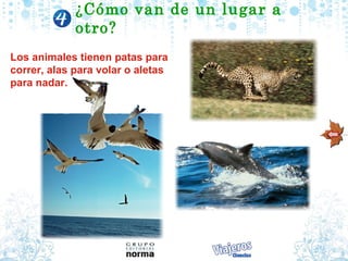 ¿Cómo van de un lugar a
             otro?
Los animales tienen patas para
correr, alas para volar o aletas
para nadar.
 