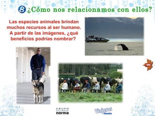¿Cómo nos relacionamos con ellos?
 Las especies animales brindan
muchos recursos al ser humano.
 A partir de las imágenes, ¿qué
  beneficios podrías nombrar?
 