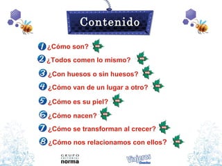 Contenido

¿Cómo son?
¿Todos comen lo mismo?

¿Con huesos o sin huesos?
¿Cómo van de un lugar a otro?

¿Cómo es su piel?

¿Cómo nacen?
¿Cómo se transforman al crecer?
¿Cómo nos relacionamos con ellos?
 