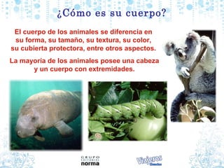 ¿Cómo es su cuerpo?
 El cuerpo de los animales se diferencia en
 su forma, su tamaño, su textura, su color,
su cubierta protectora, entre otros aspectos.
La mayoría de los animales posee una cabeza
      y un cuerpo con extremidades.
 