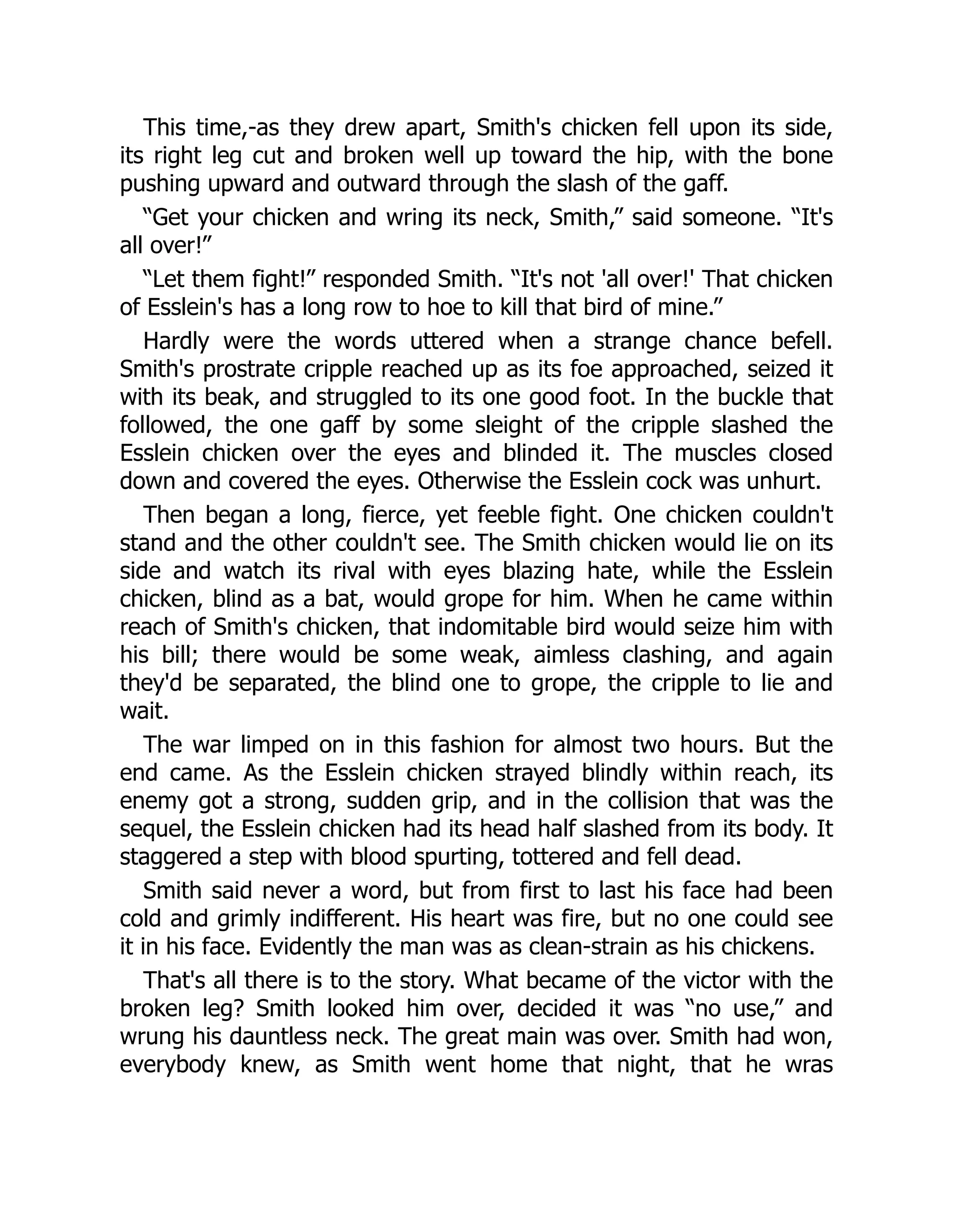 This time,-as they drew apart, Smith's chicken fell upon its side,
its right leg cut and broken well up toward the hip, with the bone
pushing upward and outward through the slash of the gaff.
“Get your chicken and wring its neck, Smith,” said someone. “It's
all over!”
“Let them fight!” responded Smith. “It's not 'all over!' That chicken
of Esslein's has a long row to hoe to kill that bird of mine.”
Hardly were the words uttered when a strange chance befell.
Smith's prostrate cripple reached up as its foe approached, seized it
with its beak, and struggled to its one good foot. In the buckle that
followed, the one gaff by some sleight of the cripple slashed the
Esslein chicken over the eyes and blinded it. The muscles closed
down and covered the eyes. Otherwise the Esslein cock was unhurt.
Then began a long, fierce, yet feeble fight. One chicken couldn't
stand and the other couldn't see. The Smith chicken would lie on its
side and watch its rival with eyes blazing hate, while the Esslein
chicken, blind as a bat, would grope for him. When he came within
reach of Smith's chicken, that indomitable bird would seize him with
his bill; there would be some weak, aimless clashing, and again
they'd be separated, the blind one to grope, the cripple to lie and
wait.
The war limped on in this fashion for almost two hours. But the
end came. As the Esslein chicken strayed blindly within reach, its
enemy got a strong, sudden grip, and in the collision that was the
sequel, the Esslein chicken had its head half slashed from its body. It
staggered a step with blood spurting, tottered and fell dead.
Smith said never a word, but from first to last his face had been
cold and grimly indifferent. His heart was fire, but no one could see
it in his face. Evidently the man was as clean-strain as his chickens.
That's all there is to the story. What became of the victor with the
broken leg? Smith looked him over, decided it was “no use,” and
wrung his dauntless neck. The great main was over. Smith had won,
everybody knew, as Smith went home that night, that he wras
 