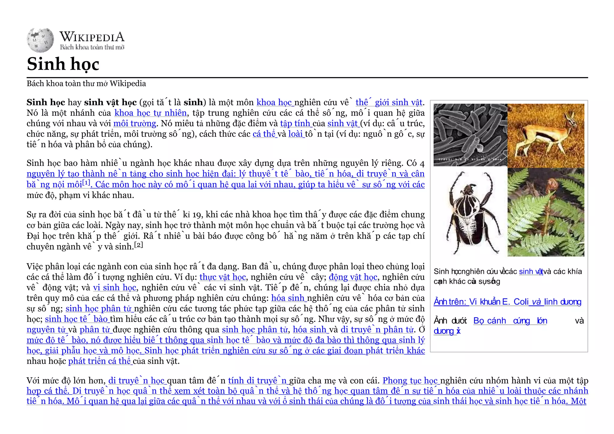 5677764_mini-world.pptx