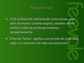 Porque Senso? O 5S no Brasil foi interpretado como sensos, pois além de manter o nome original, também reflete melhor a idéia de profunda mudança comportamental. O termo “Senso” significa uso correto da razão para julgar ou raciocinar em cada caso particular. 