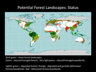 Restoration of the World's Degraded Forest Landscapes | PDF