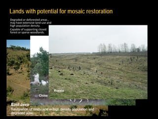 Restoration of the World's Degraded Forest Landscapes | PDF