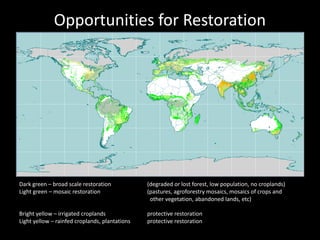 Restoration of the World's Degraded Forest Landscapes | PDF